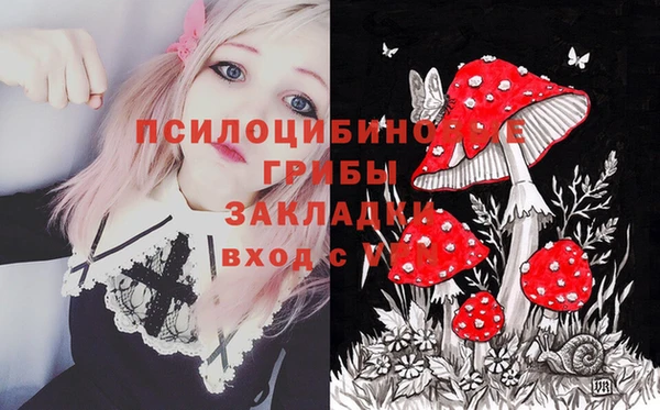 jwh Алзамай