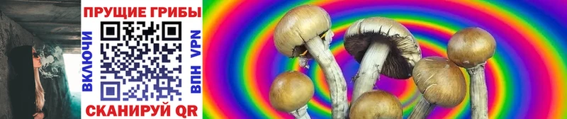 купить наркоту Любань Псилоцибиновые грибы MAGIC MUSHROOMS